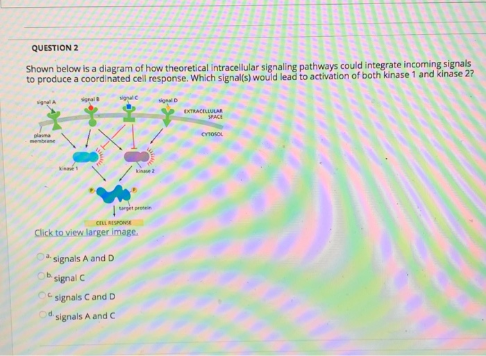 Solved QUESTION 2 Shown below is a diagram of how | Chegg.com