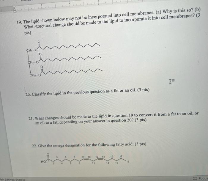 Solved 19. The lipid shown below may not be incorporated | Chegg.com