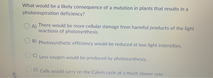 Solved What would be a likely consequence of a mutation in | Chegg.com