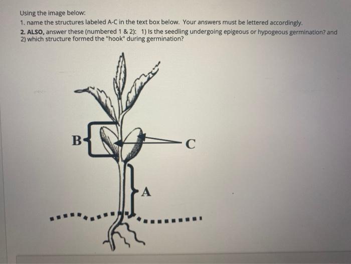 Solved Using the image below: 1. name the structures labeled | Chegg.com