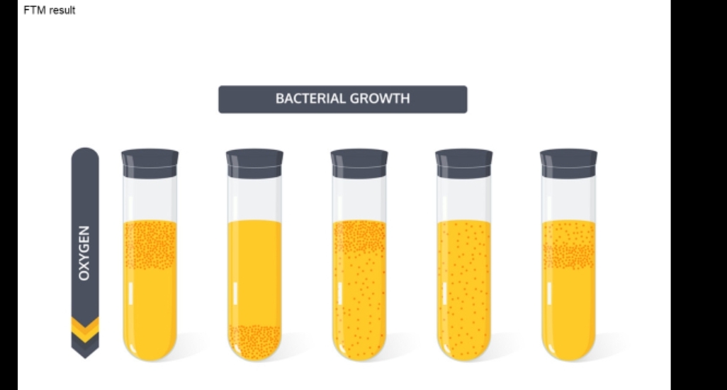 Ftm Growth Pattern Solved FTM resultBACTERIAL GROWTH | Chegg.com