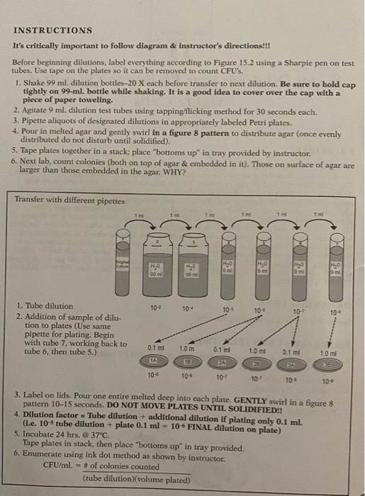 solved-serial-dilution-agar-plating-to-quantitate-viable-chegg