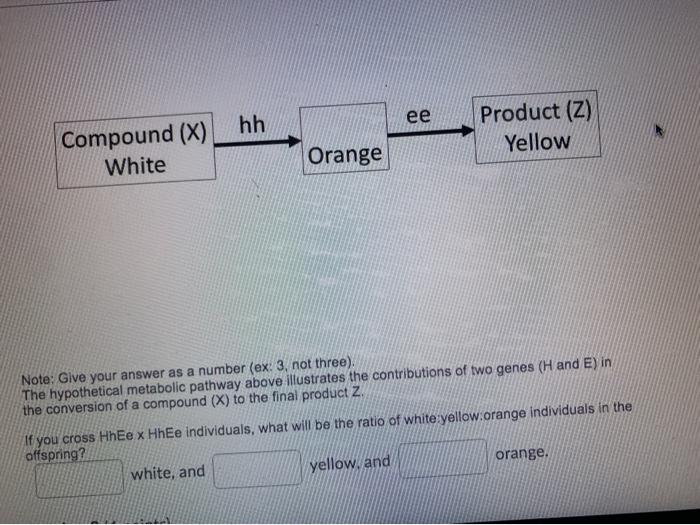 hh ee Product (2) Yellow Compound (x) White Orange Note: Give your answer as a number (ex: 3, not three). The hypothetical me