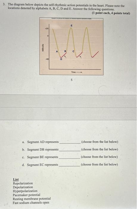 Solved 3. The diagram below depicts the self-rhythmic action | Chegg.com