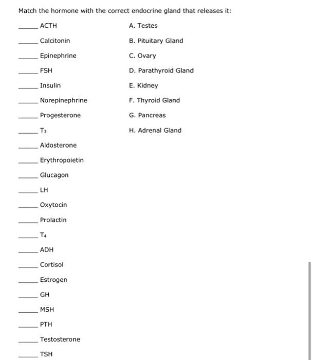 Solved Match the hormone with the correct endocrine gland | Chegg.com