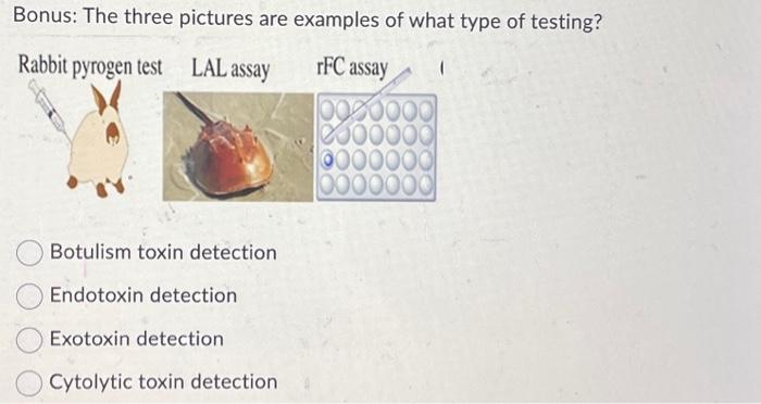 Solved Bonus: The three pictures are examples of what type | Chegg.com