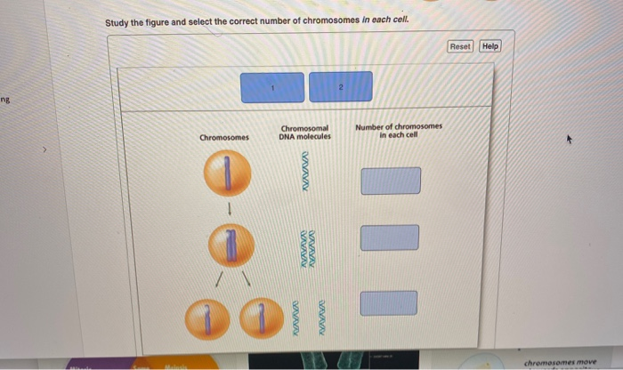 Solved Study Thr Figure Wnd Select The Correct Number Of Chegg Com