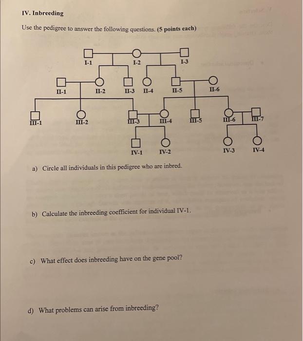 Solved Genetics Help!Please help with questions A-D they are | Chegg.com