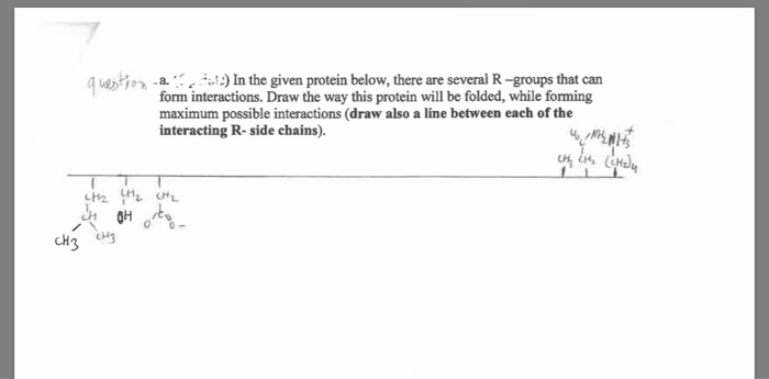 Solved sos-a. ..) In the given protein below, there are | Chegg.com