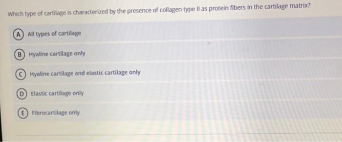 cartilage have which type of collagen