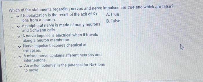 which-of-the-statements-regarding-nerves-and-nerve-chegg