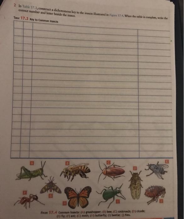 Solved 2 In Table 17.3, construct a dichotomous key to the | Chegg.com
