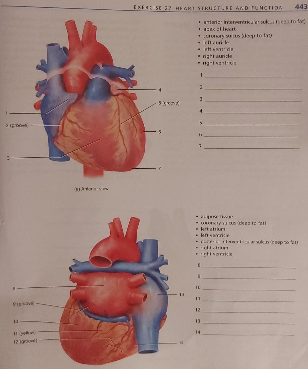 student submitted image, transcription available below