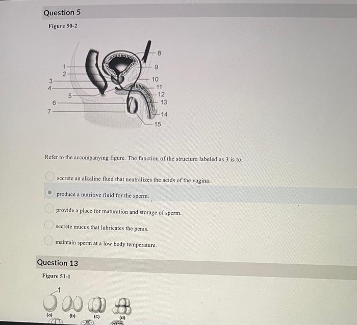 Solved Question 2 Figure 50-2 8 9 1 2 3 4 10 11 12 13 5 6 7 | Chegg.com