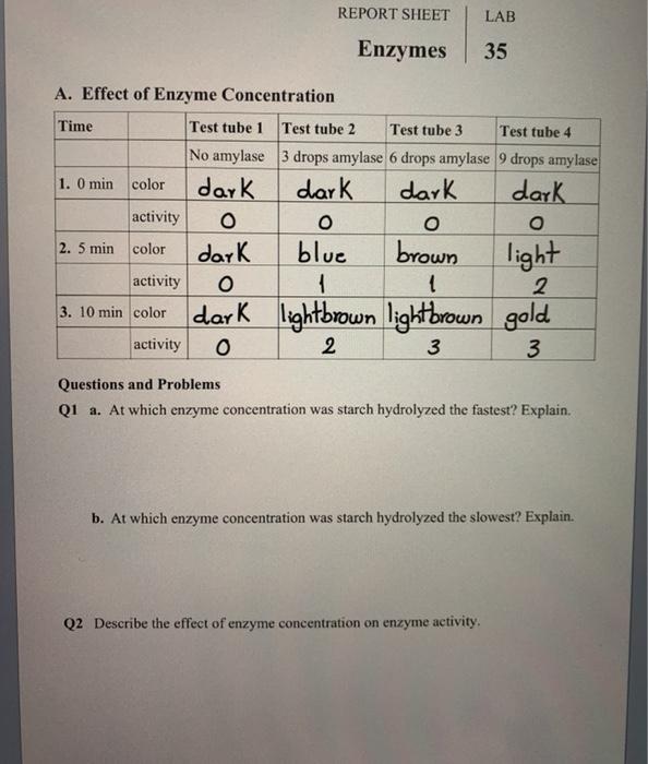 Solved REPORT SHEET LAB Enzymes 35 A. Effect of Enzyme | Chegg.com