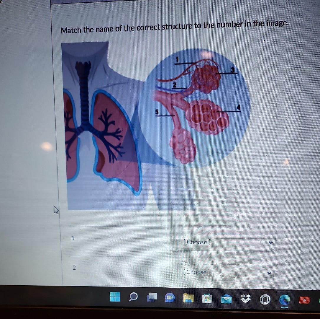 Solved match the name of correct structure to the number in | Chegg.com
