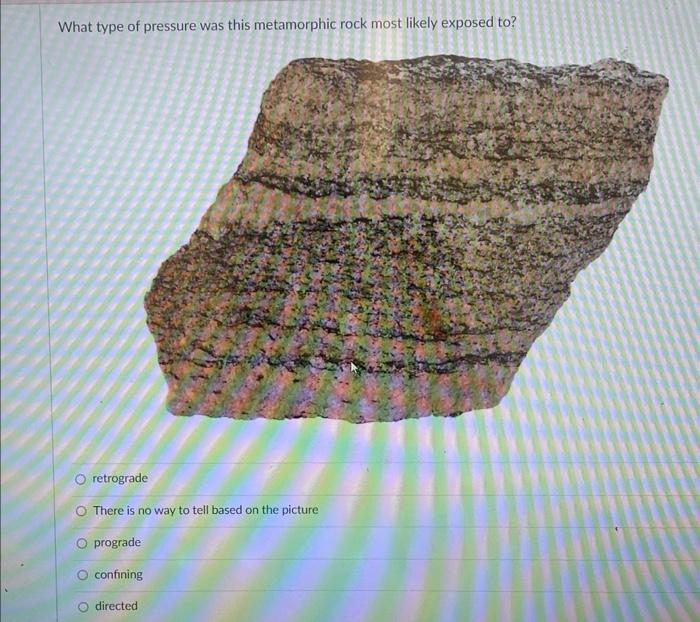 Solved You're given a metamorphic rock in Geol 1030lab and | Chegg.com