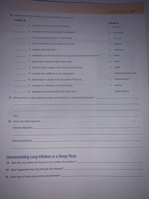 Solved Instructors may assign a portion of the Review Sheet | Chegg.com