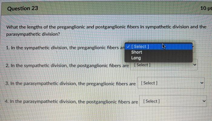 Question 23 10 pt What the lengths of the preganglionic and postganglionic fibers in sympathetic division and the parasympath