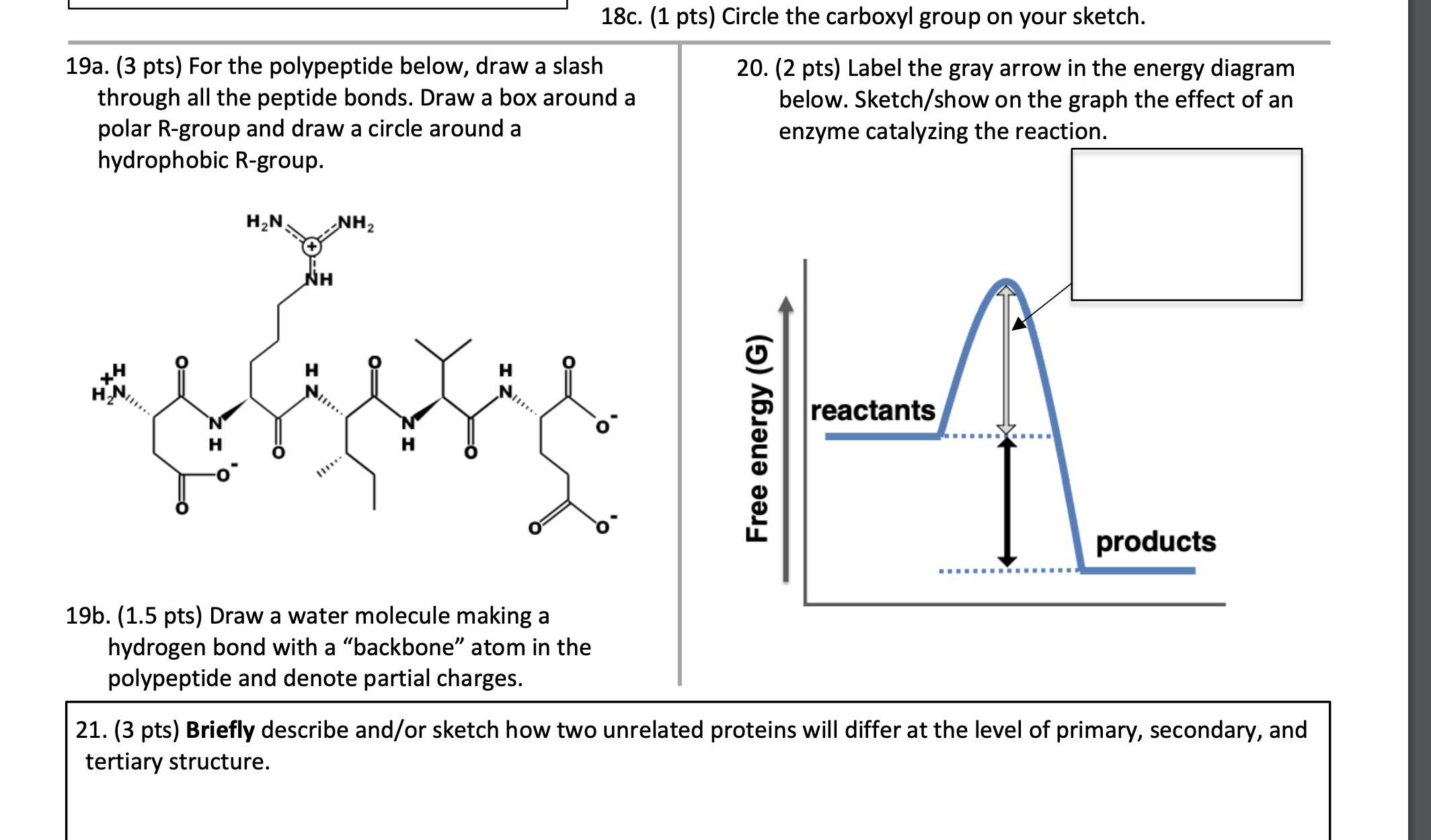 18a. (3 ﻿pts) ﻿In the box, sketch the molecule shown