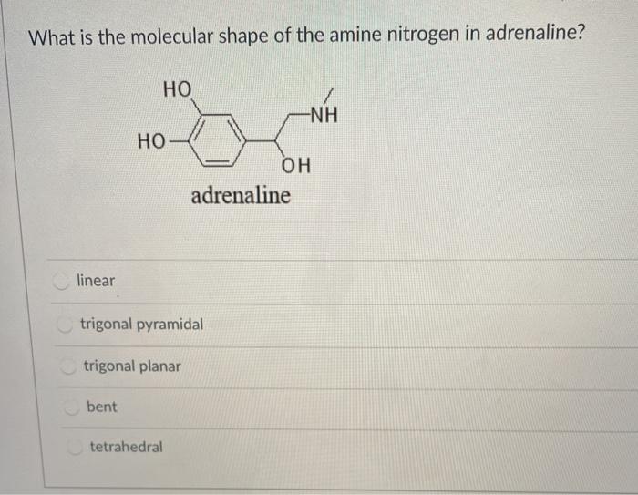 Solved What is the molecular shape of the amine nitrogen in | Chegg.com