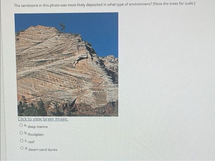 Solved The sandstone in this photo was most likely deposited