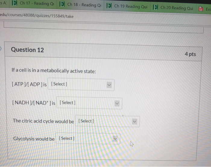 Solved First two options are high/low and second two are | Chegg.com