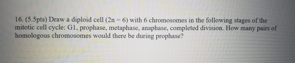 Solved 16. (5.5pts) Draw a diploid cell (2n = 6) with 6 | Chegg.com