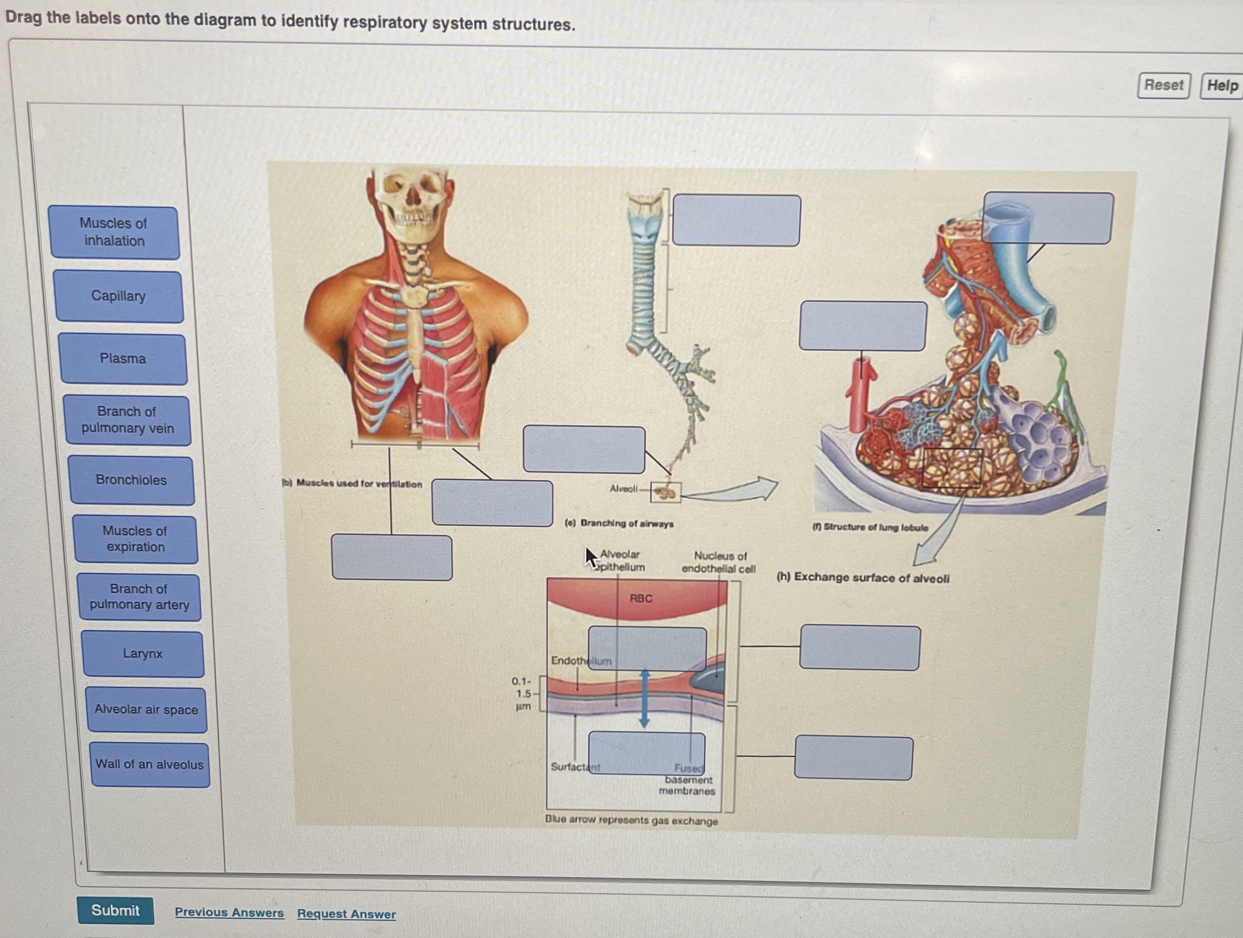 student submitted image, transcription available below