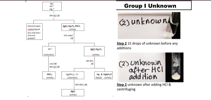 Solved Group I Unknown (2) unknown Step 2 15 drops of | Chegg.com