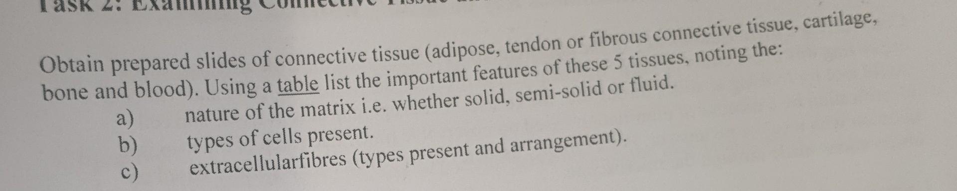 Solved Obtain prepared slides of connective tissue (adipose, | Chegg.com