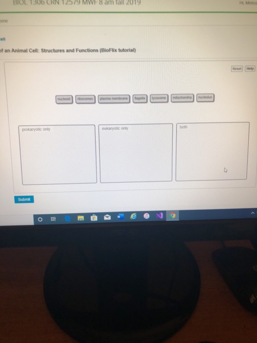 Solved comparing eukaryotic and prokaryotic cells. Drag each | Chegg.com