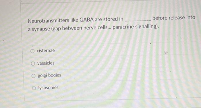 Neurotransmitters like GABA are stored in before release into a synapse (gap between nerve cells... paracrine signalling).
ci