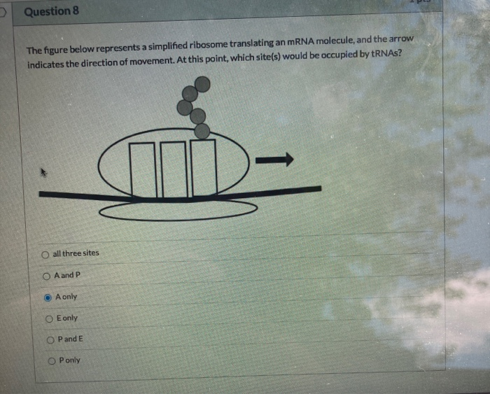Question 8 The figure below represents a simplified | Chegg.com