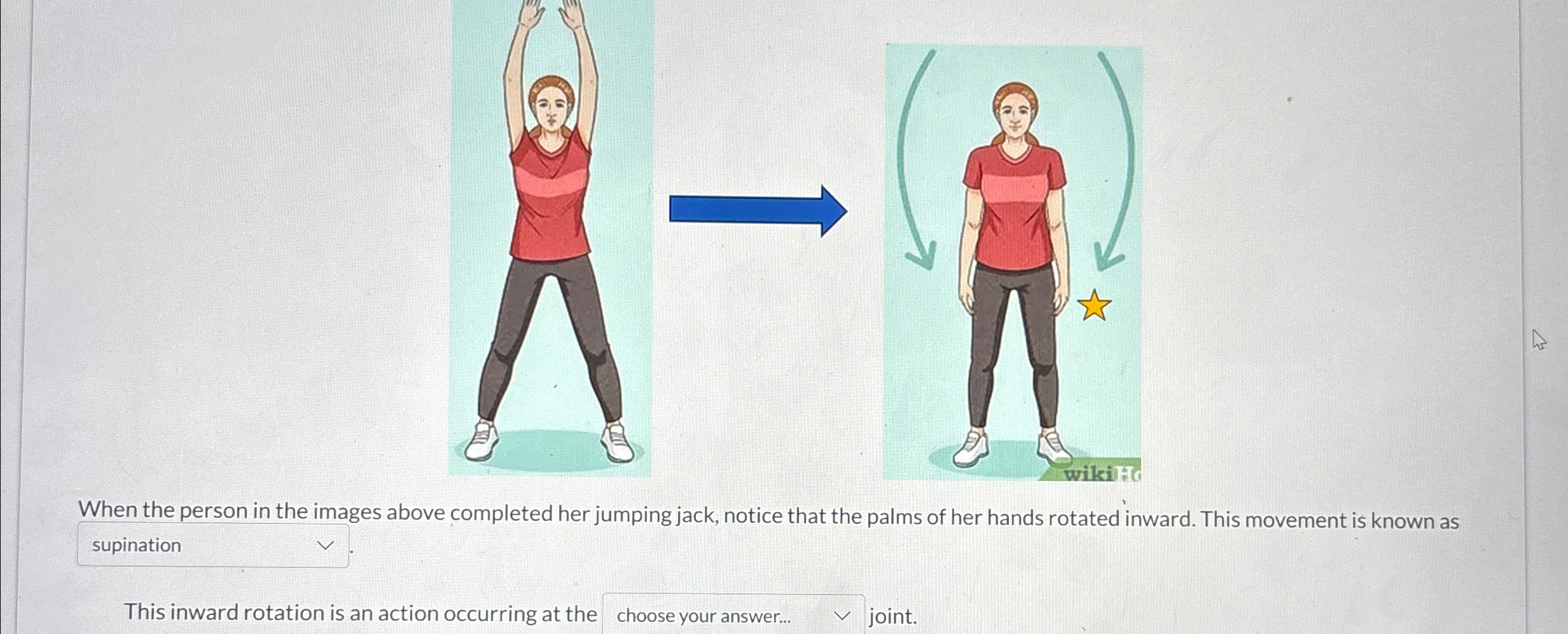 Solved When the person in the images above completed her | Chegg.com