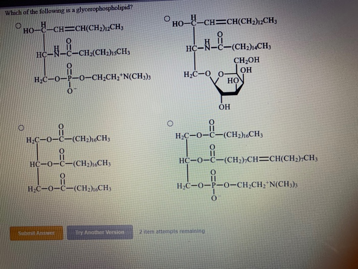 Solved Which Of The Following Is A Glycerophospholipid Chegg Com