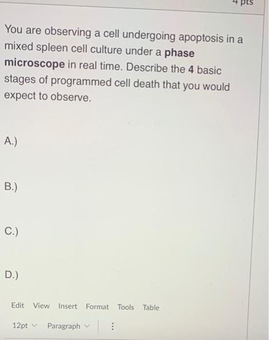 Solved 4 pts You are observing a cell undergoing apoptosis | Chegg.com