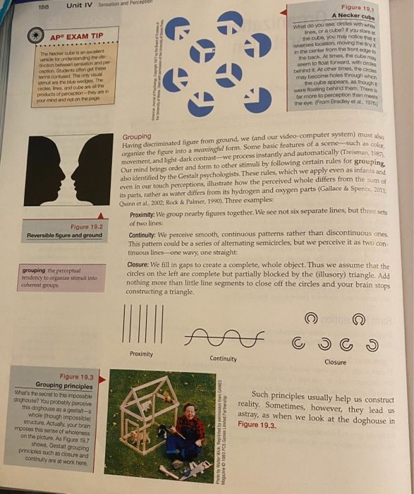 Solved Describe Gestalt Psychologists Understanding Of P Chegg Com