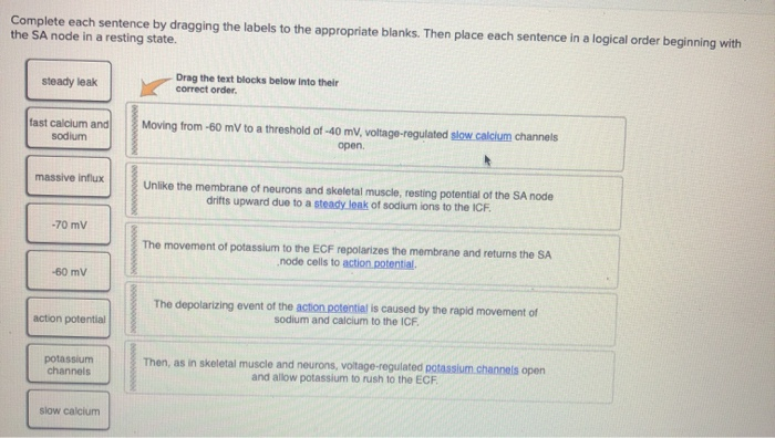 Solved drag the labels AND place in a logical order | Chegg.com