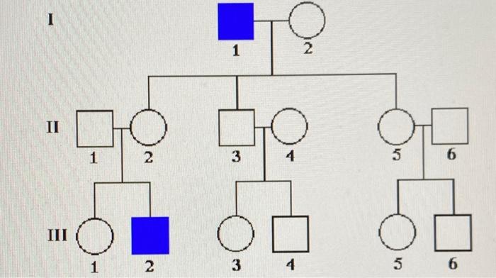 Solved A man with a certain disease marries a normal woman. | Chegg.com