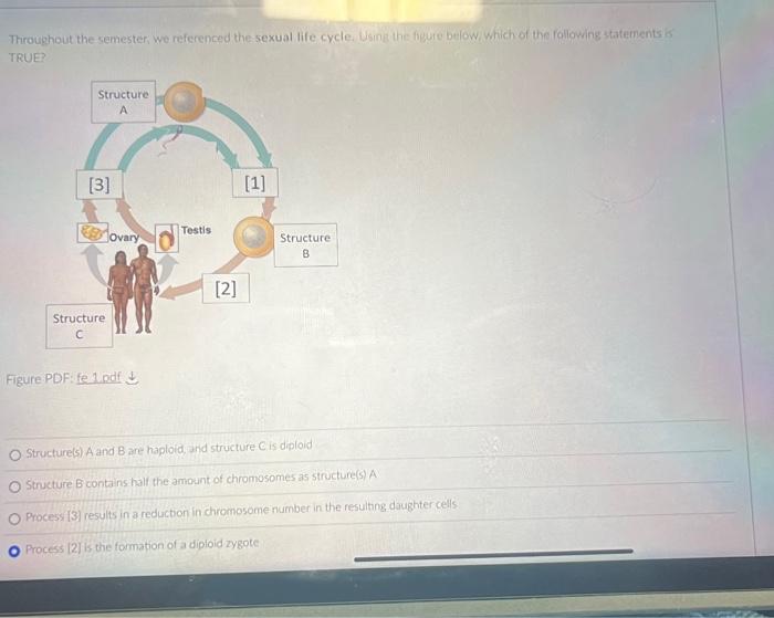 Solved Throughout The Semesteri Wo Referenced The Sexual 