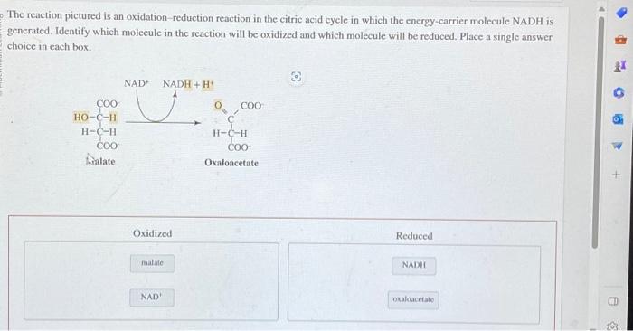 Solved The Reaction Pictured Is An Oxidation-reduction | Chegg.com