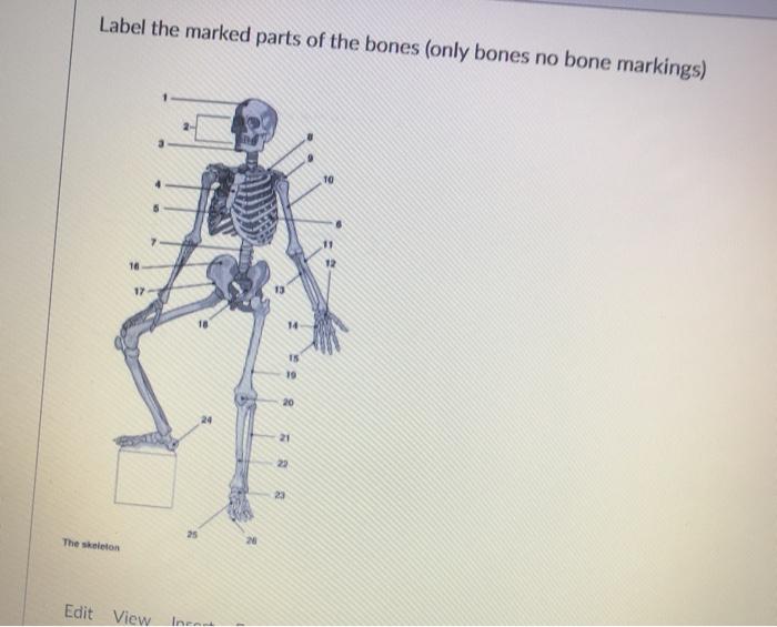 skeleton diagram no labels