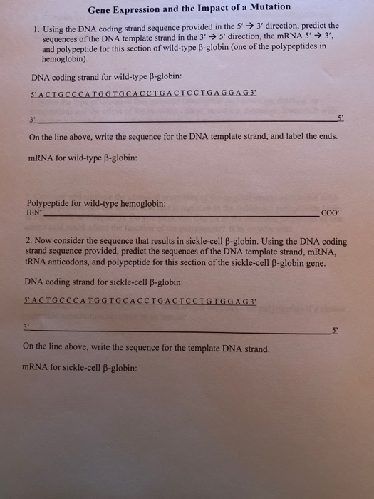 dna sequencing sequencher heterozygous mutations