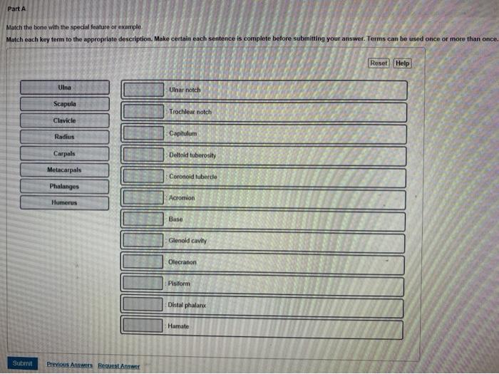 Solved Part A Match the bone with the special feature(s) or