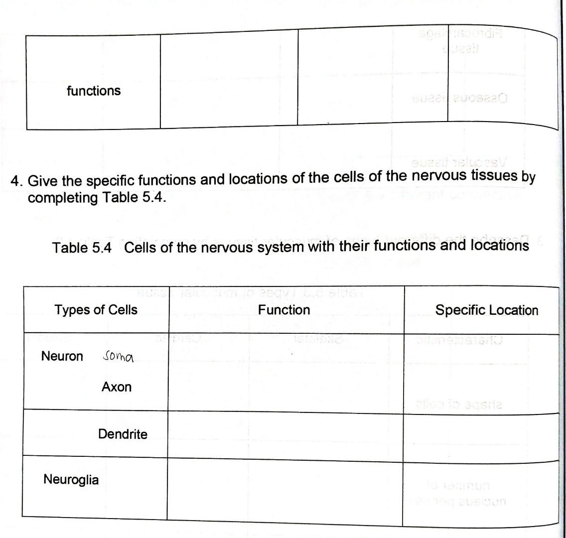 Solved 1. Summarize the characteristics, functions and | Chegg.com