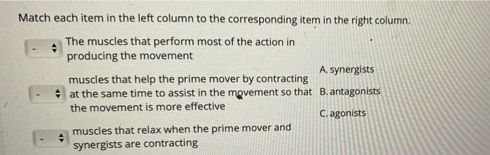 Solved Match each item in the left column to the | Chegg.com