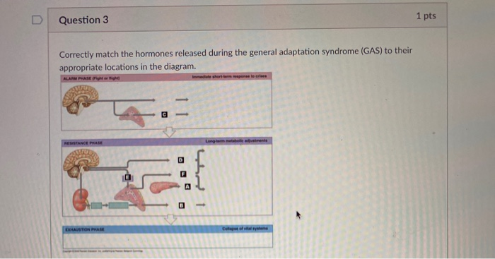 Solved Question Pts Correctly Match The Hormones Chegg Com