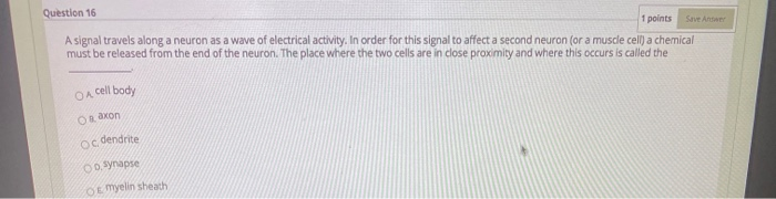 Solved Question 16 1 points A signal travels along a neuron | Chegg.com