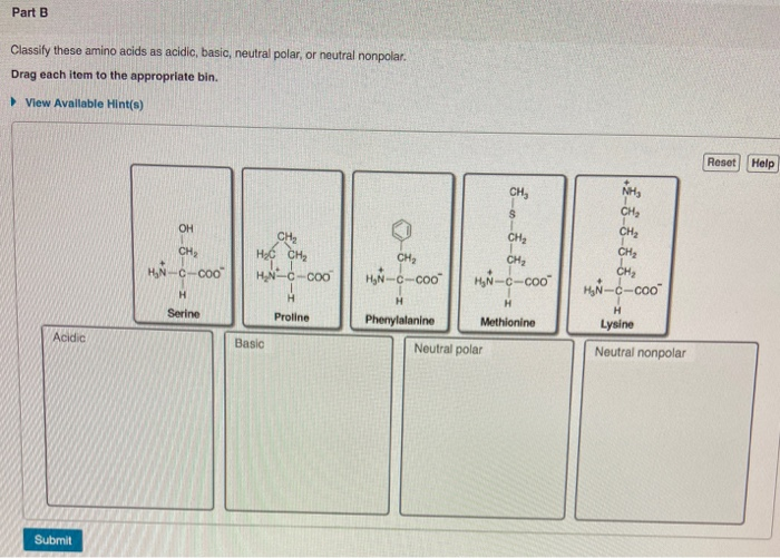 Solved Part A Classify these amino acids as acidic, basic,